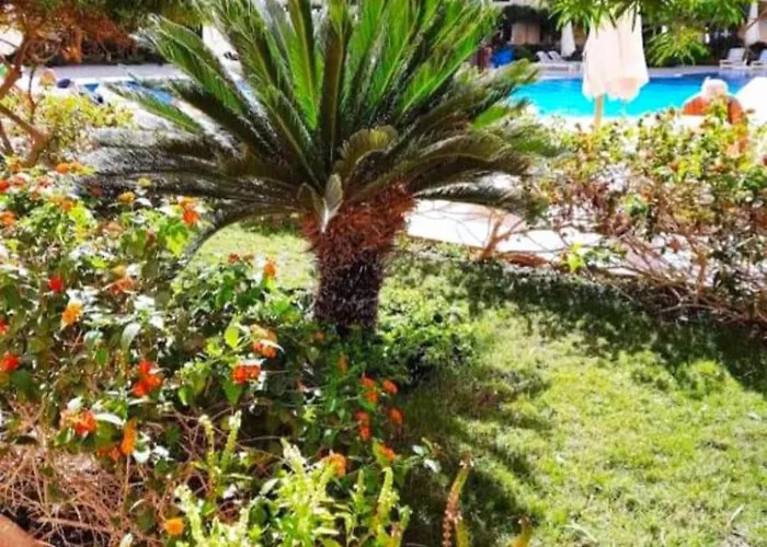 Florenza Khamsin Compound Unit G4